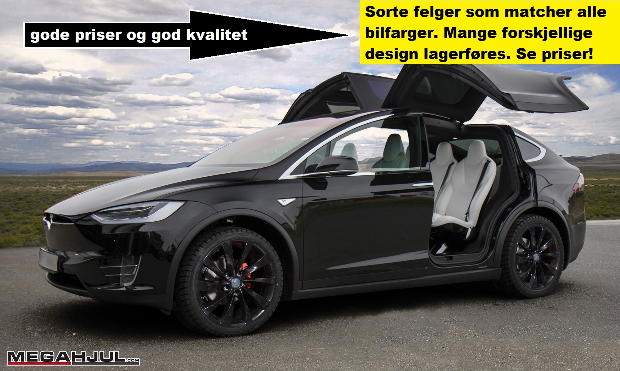 Vinterhjul anbefalt til Tesla Model X
