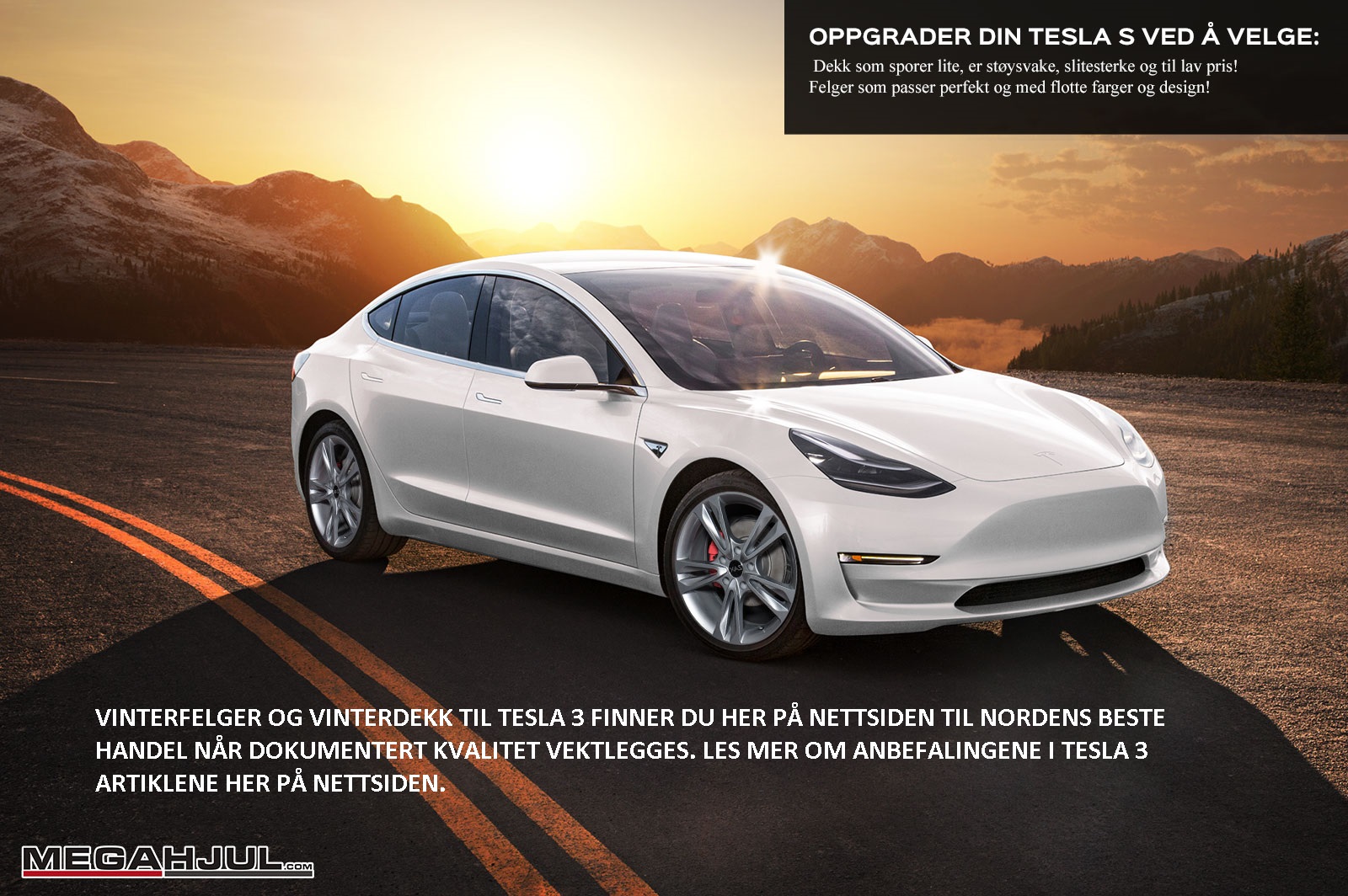 vinterdekk-til-tesla-model-3-med felger-pris